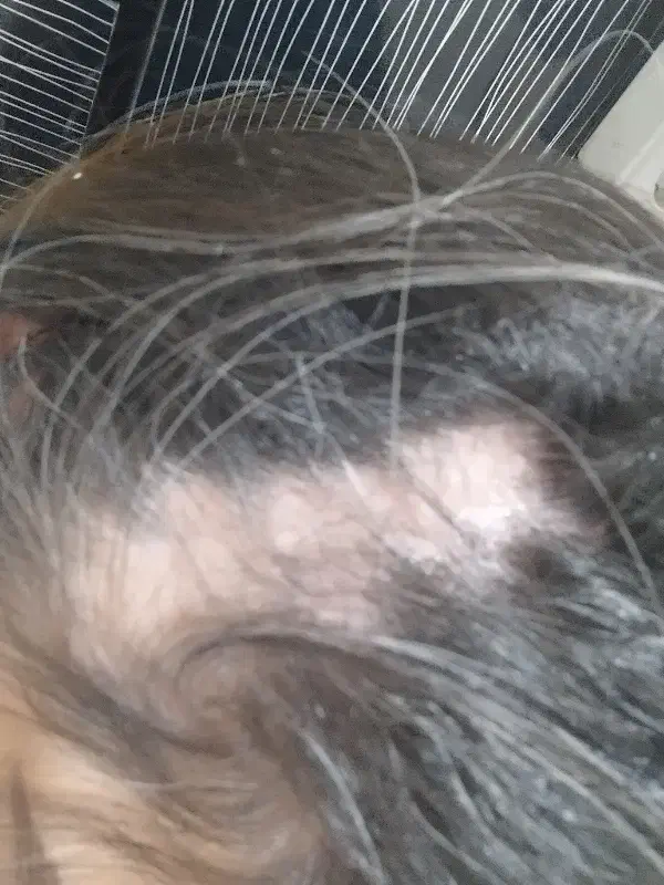 اطلاع رسانی|فعالیت داوطلبانه|خواجه, |دیوار