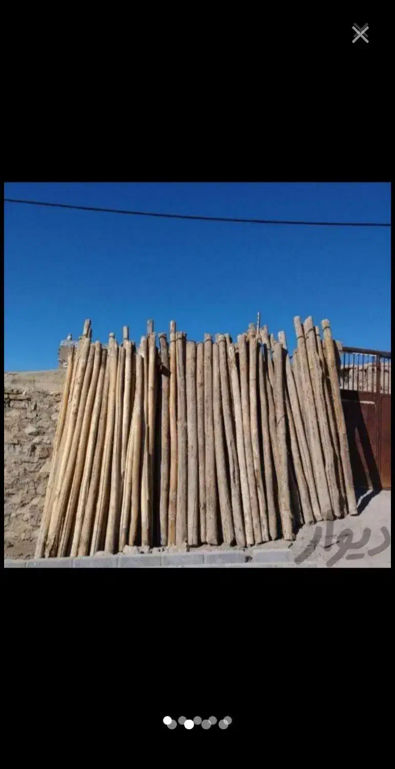 خرید انواع چوب درختان خشک و چوب سقفی|خدمات باغبانی و درختکاری|زنجان, |دیوار