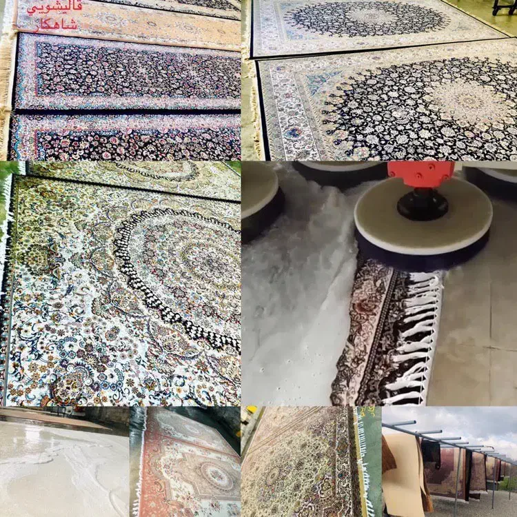 قالیشویی همشهری|مواد شوینده و دستمال کاغذی|پیرانشهر, |دیوار