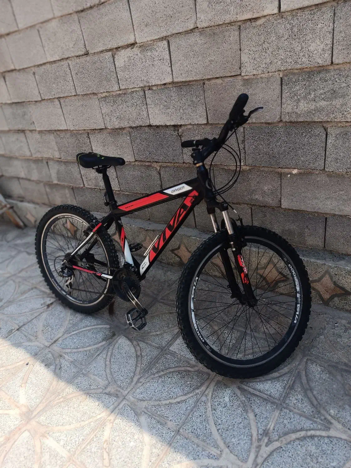 دوچرخه 26ویوا|دوچرخه، اسکیت، اسکوتر|مرودشت, کناره|دیوار