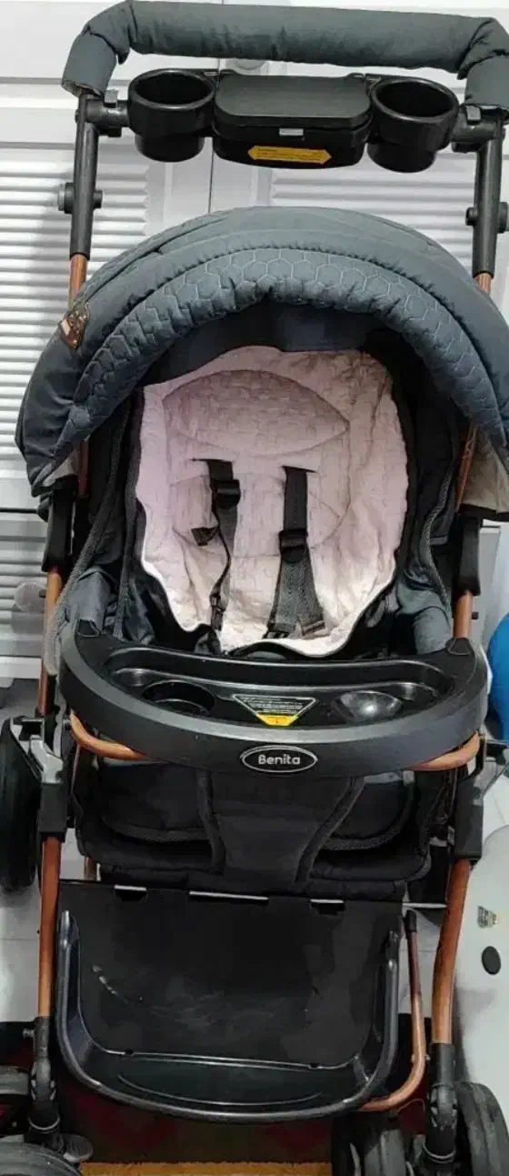 کالسکه دلیجان|کالسکه و لوازم جانبی|اصفهان, قهجاورستان|دیوار