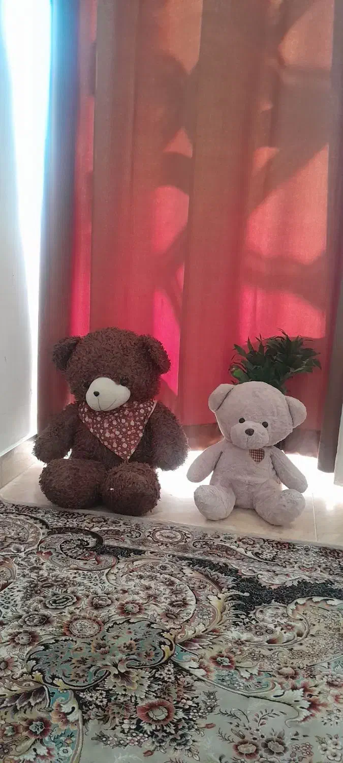 عروسک خرسی|اسباب‌بازی بچه|سبزوار, دانشگاه آزاد|دیوار