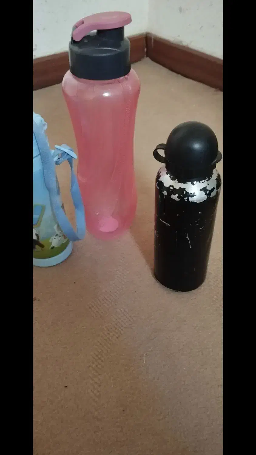 قمقمه 3عدد است سالم هستن وتمیز|ظروف نگهدارنده، پلاستیکی، یک‌بارمصرف|صدرا-فارس, فاز ۲|دیوار