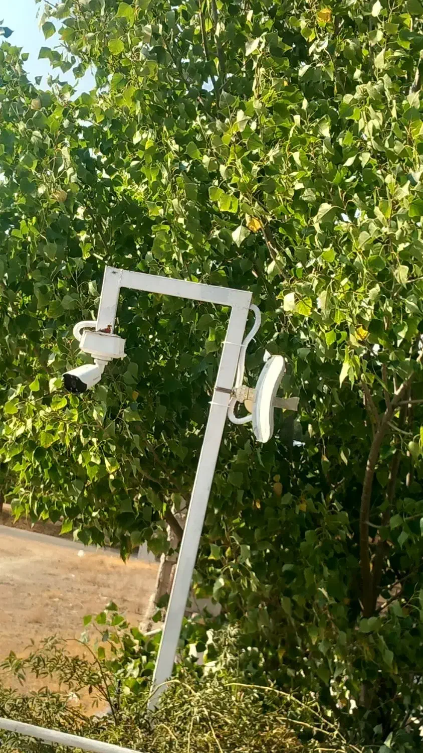 نصب و اجرای سیستم های امنیتی و برق|خدمات پیشه و مهارت|شیراز, سینما سعدی|دیوار