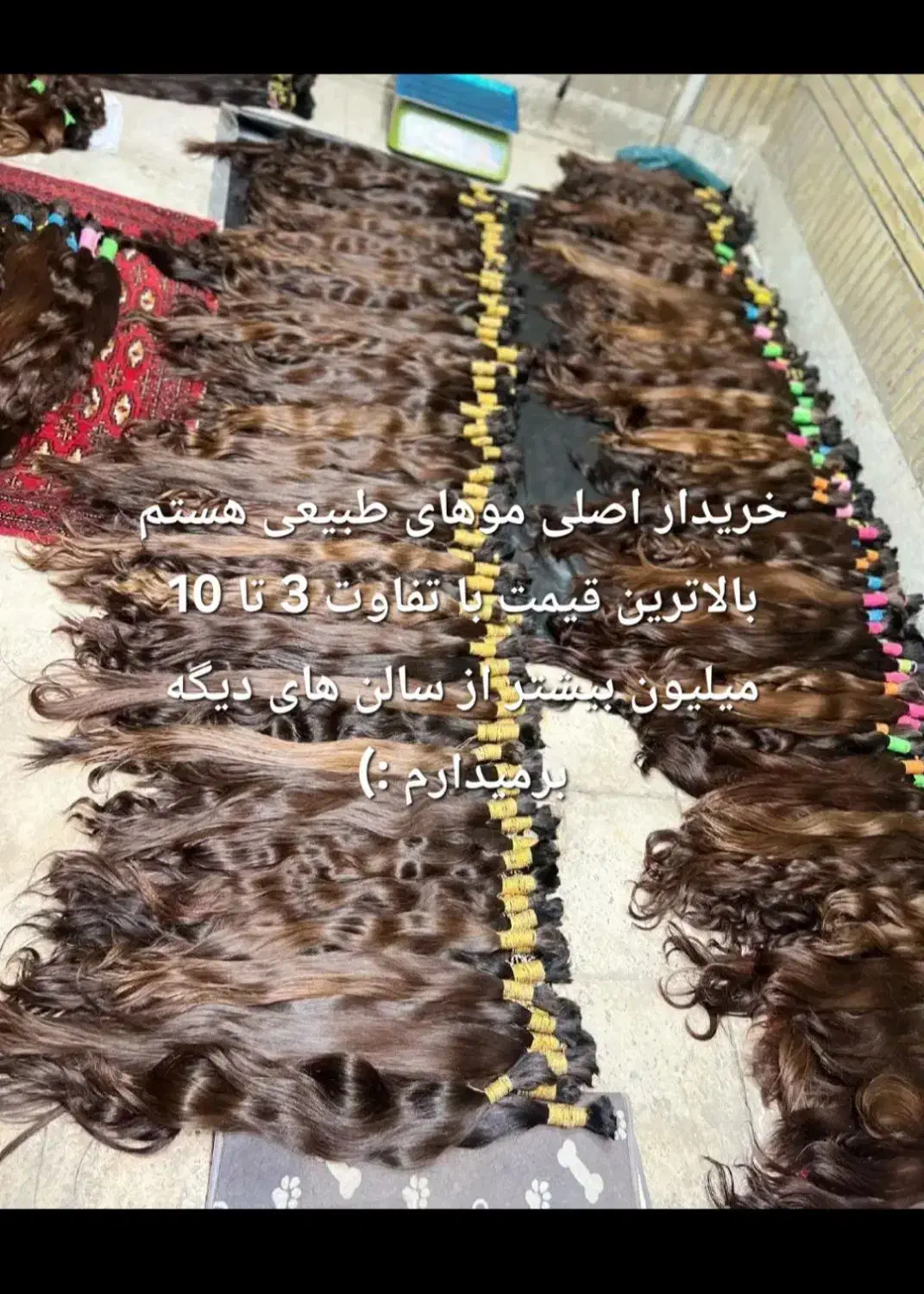 فروش مو طبیعی بدون واسطه اصلی کد ۶۶۶۶|آرایشی، بهداشتی، درمانی|قم, صفائیه|دیوار