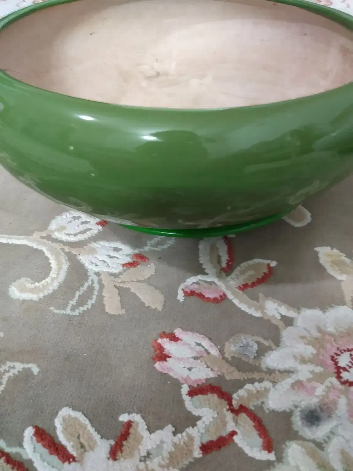 گلدان زیبا|گل و گیاه طبیعی|پاکدشت, شهرک امام رضا|دیوار