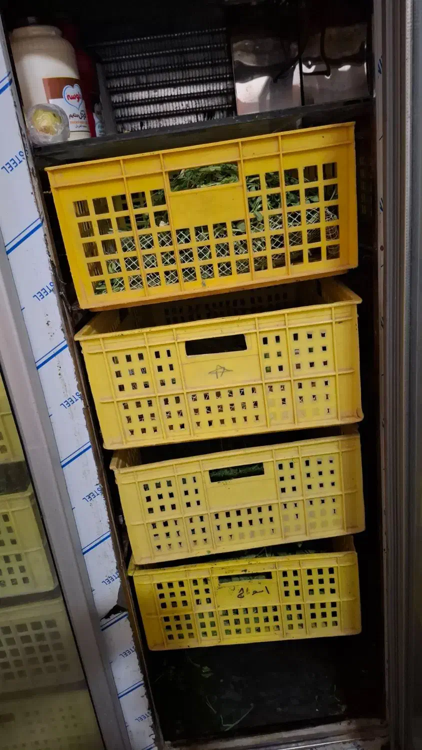 یخچال فروشگاهی،صنعتی|فروشگاه و مغازه|فردیس, قریشی|دیوار