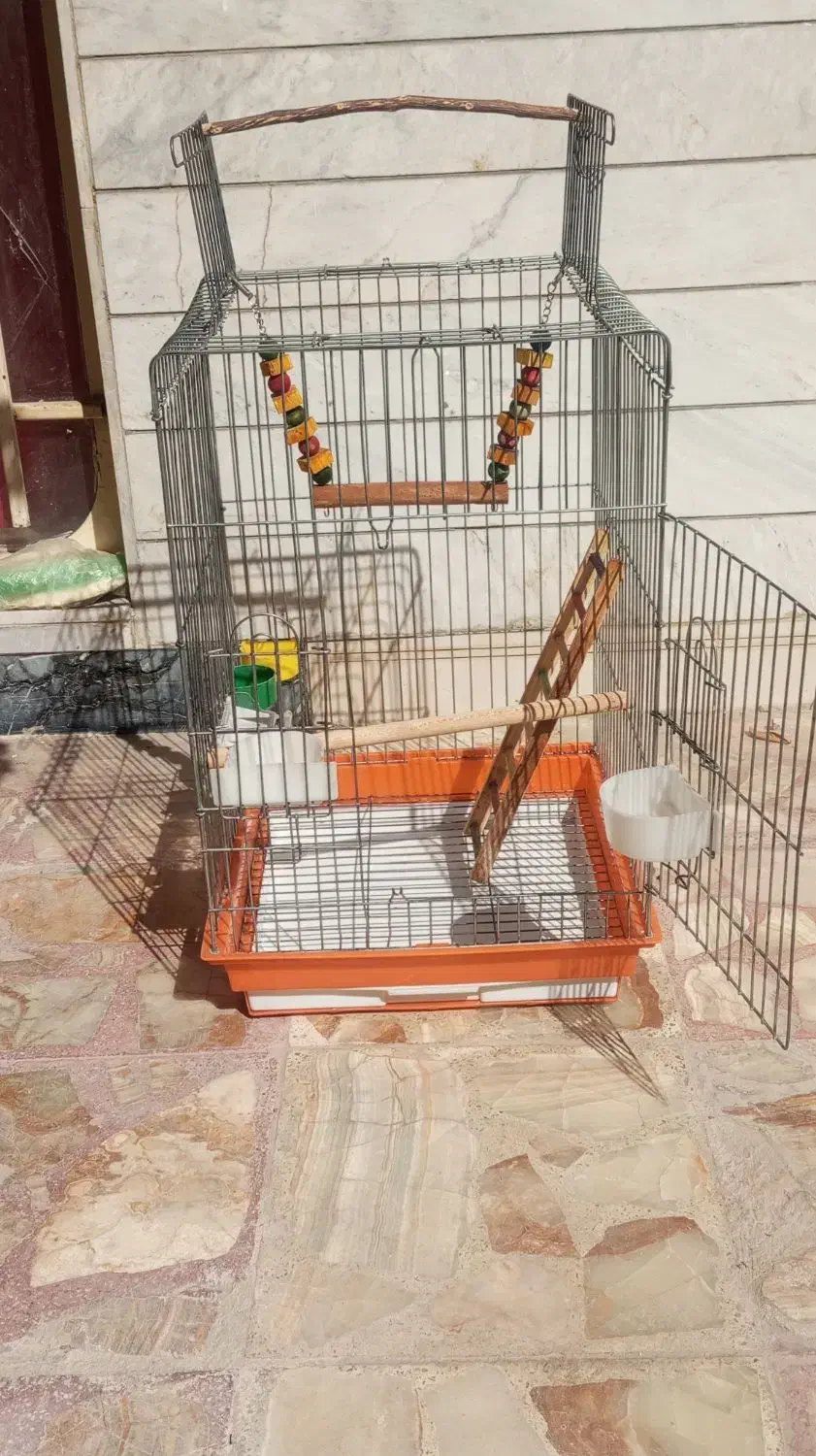 قفس بزرگ عروس هلندی و کاسکو|لوازم جانبی حیوانات|شیراز, کیان شهر|دیوار