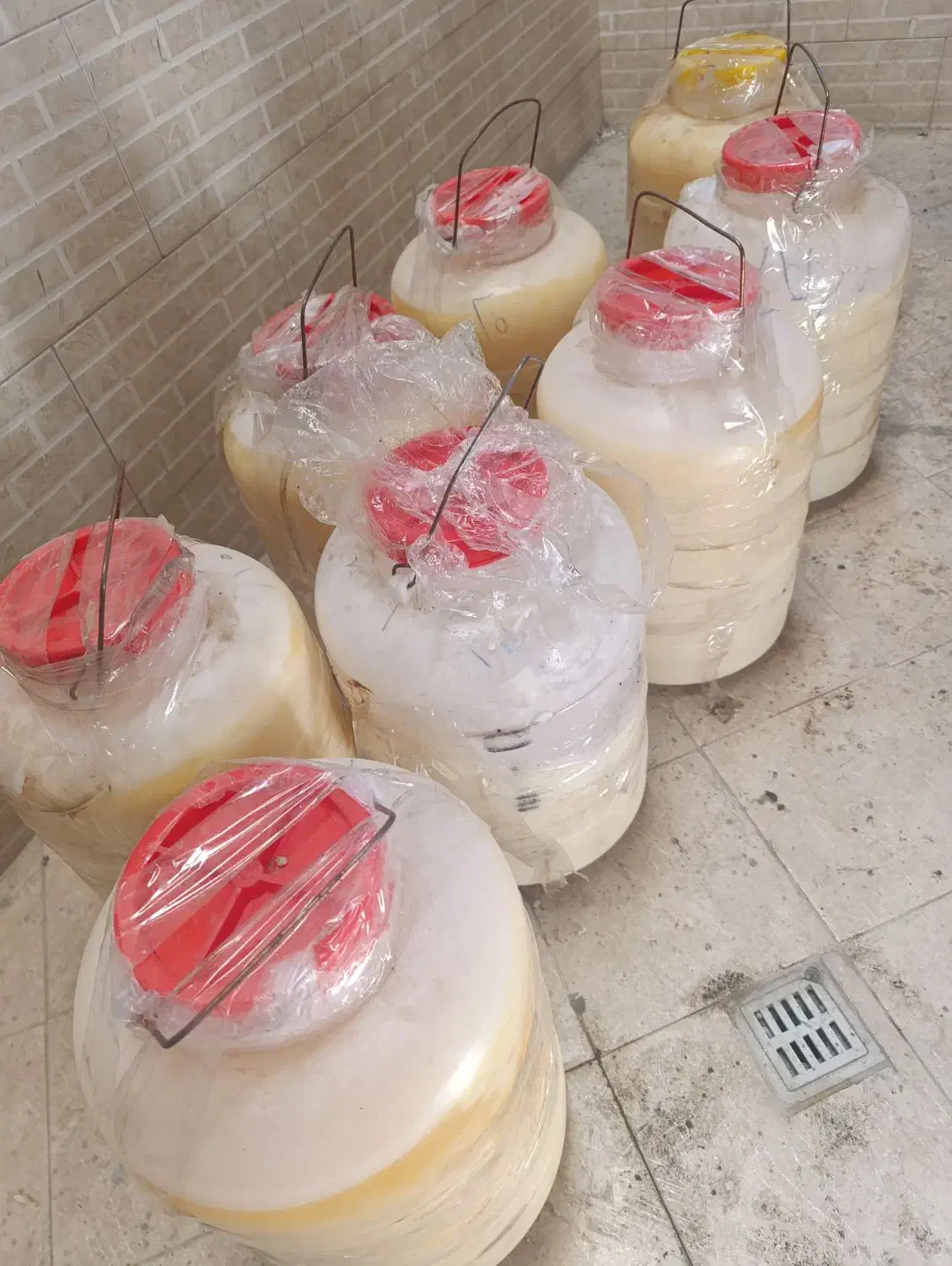 خانه و آشپزخانه خوردنی آشامیدنی|خوردنی و آشامیدنی|ساری, |دیوار