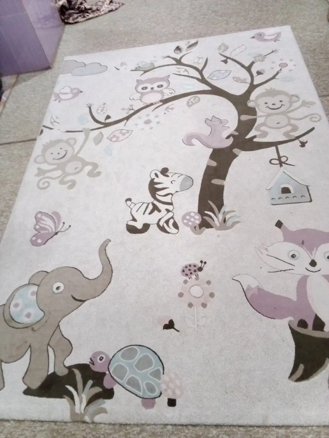 گلیم فرش|فرش|بانه, |دیوار