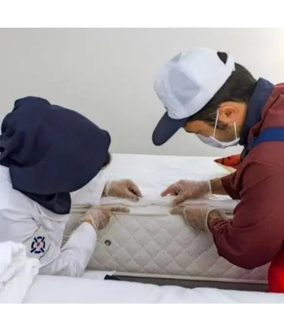 شرکت خدمات سمپاشی دنا سم جنوب سوسک ساس و ..|خدمات نظافت|یاسوج, |دیوار