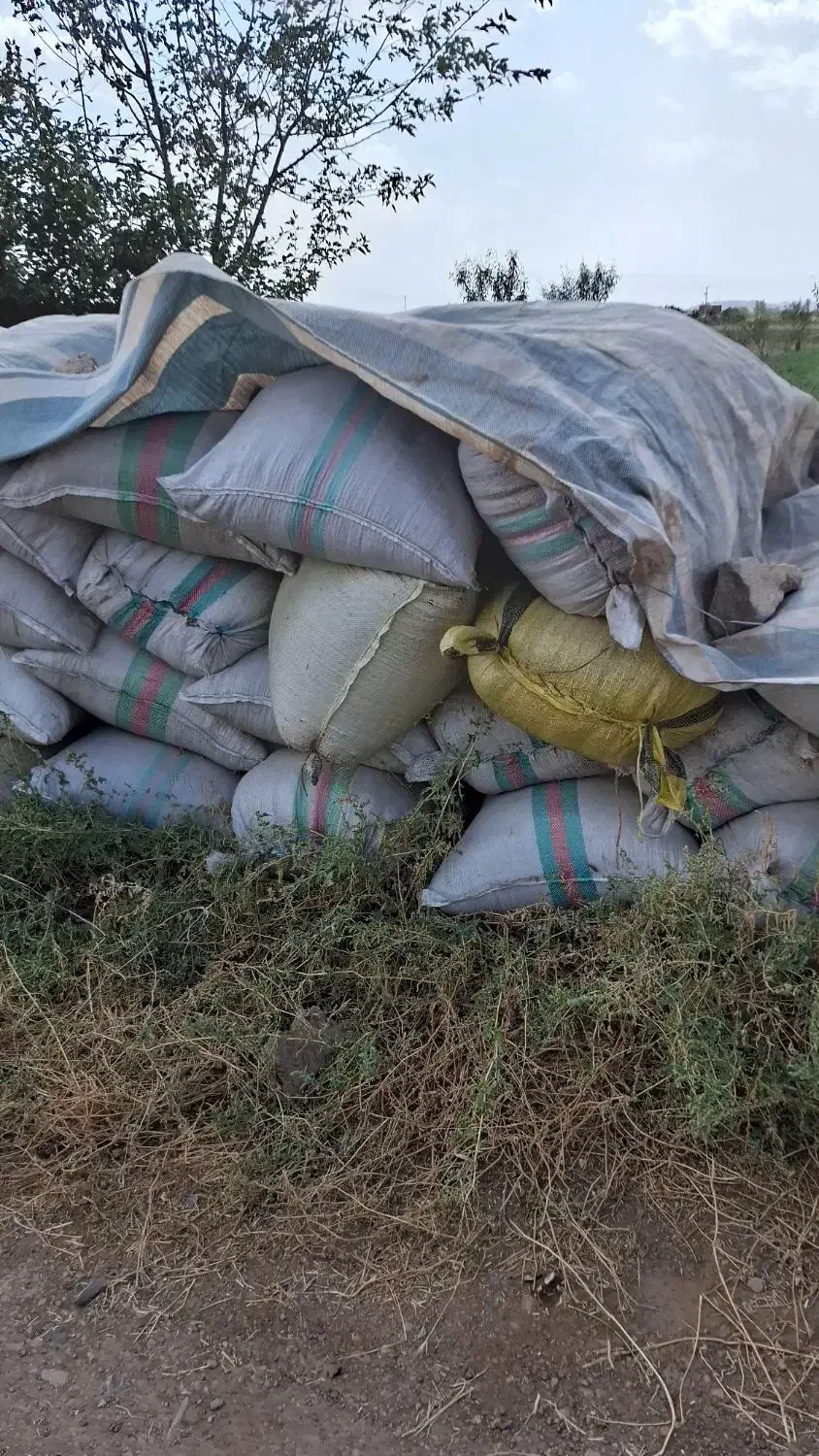 کاه یونجه|خدمات باغبانی و درختکاری|خوی, |دیوار