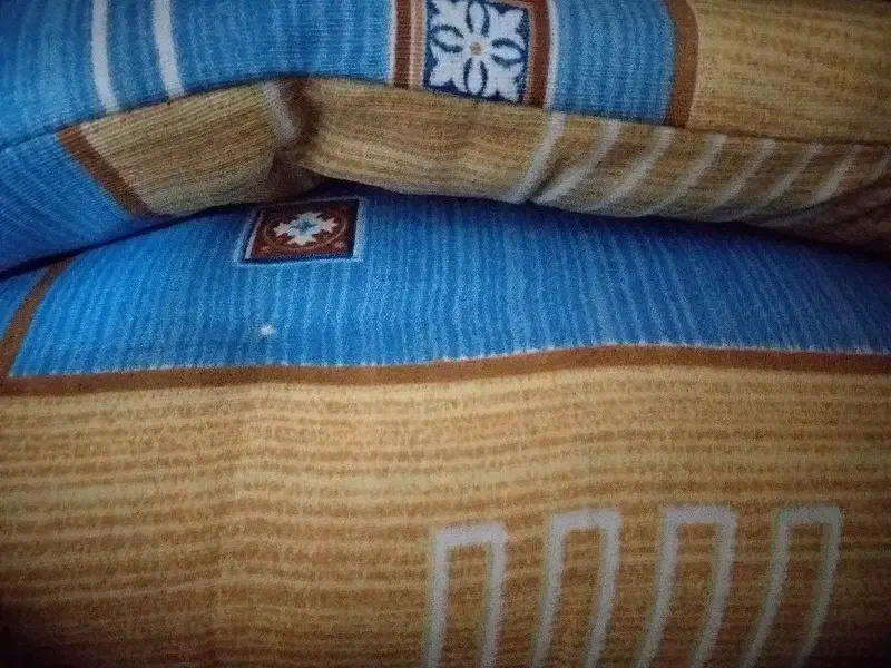 تشک پنبه ای|رختخواب، بالش، پتو|دزفول, |دیوار