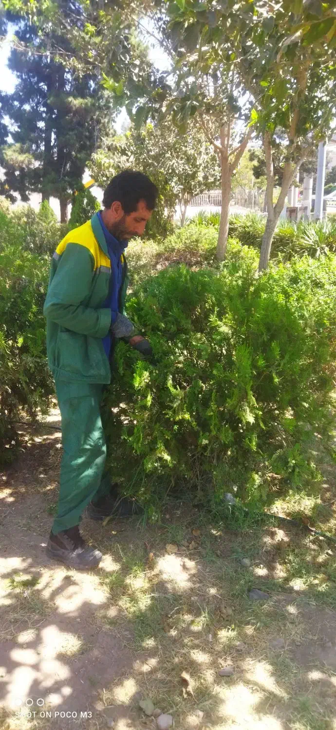 باغبان..انجام هرگونه کار باغبانی|خدمات باغبانی و درختکاری|قم, سالاریه|دیوار