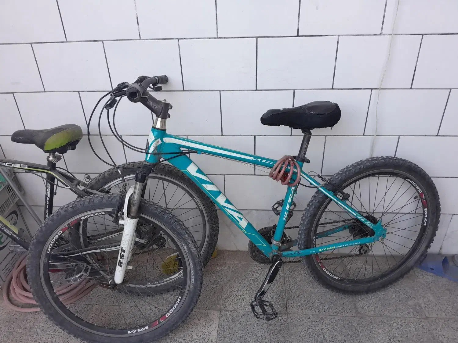 دوچرخه ویوا|دوچرخه، اسکیت، اسکوتر|کرمان, |دیوار