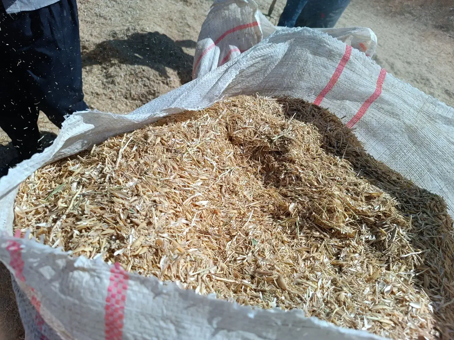 کاه نخود|لوازم جانبی حیوانات|رشت, حومه رشت|دیوار