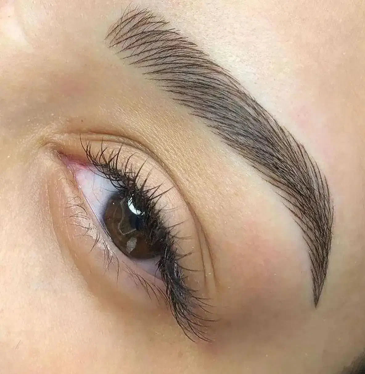 فیبروز.کراتین.ناخن.فیشیال|خدمات آرایشگری و زیبایی|اردبیل, |دیوار