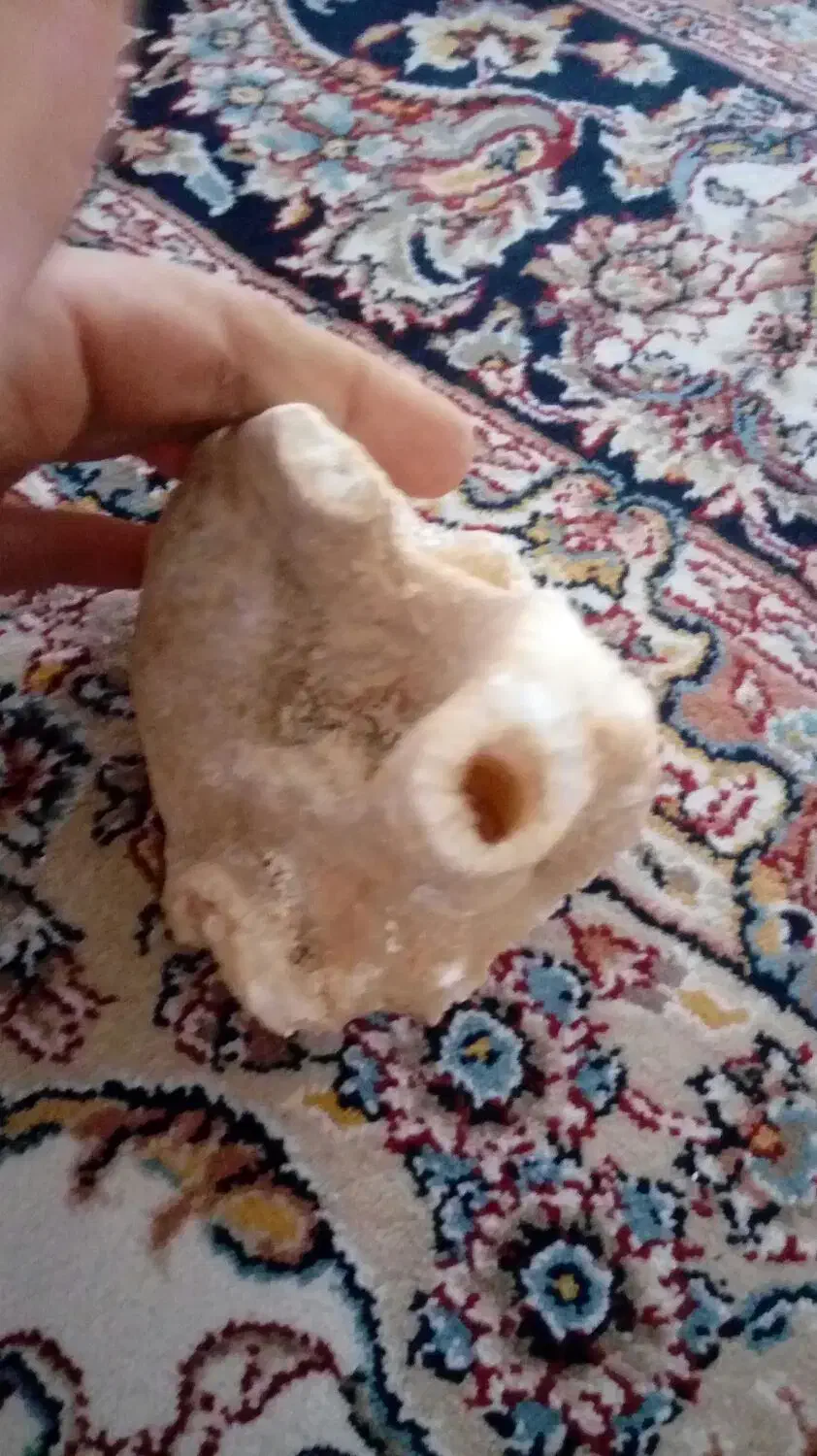 سنگ تز عینی برای اکواریوم و تز عینات|صنایع دستی و سایر لوازم تزئینی|خسروشاه, |دیوار