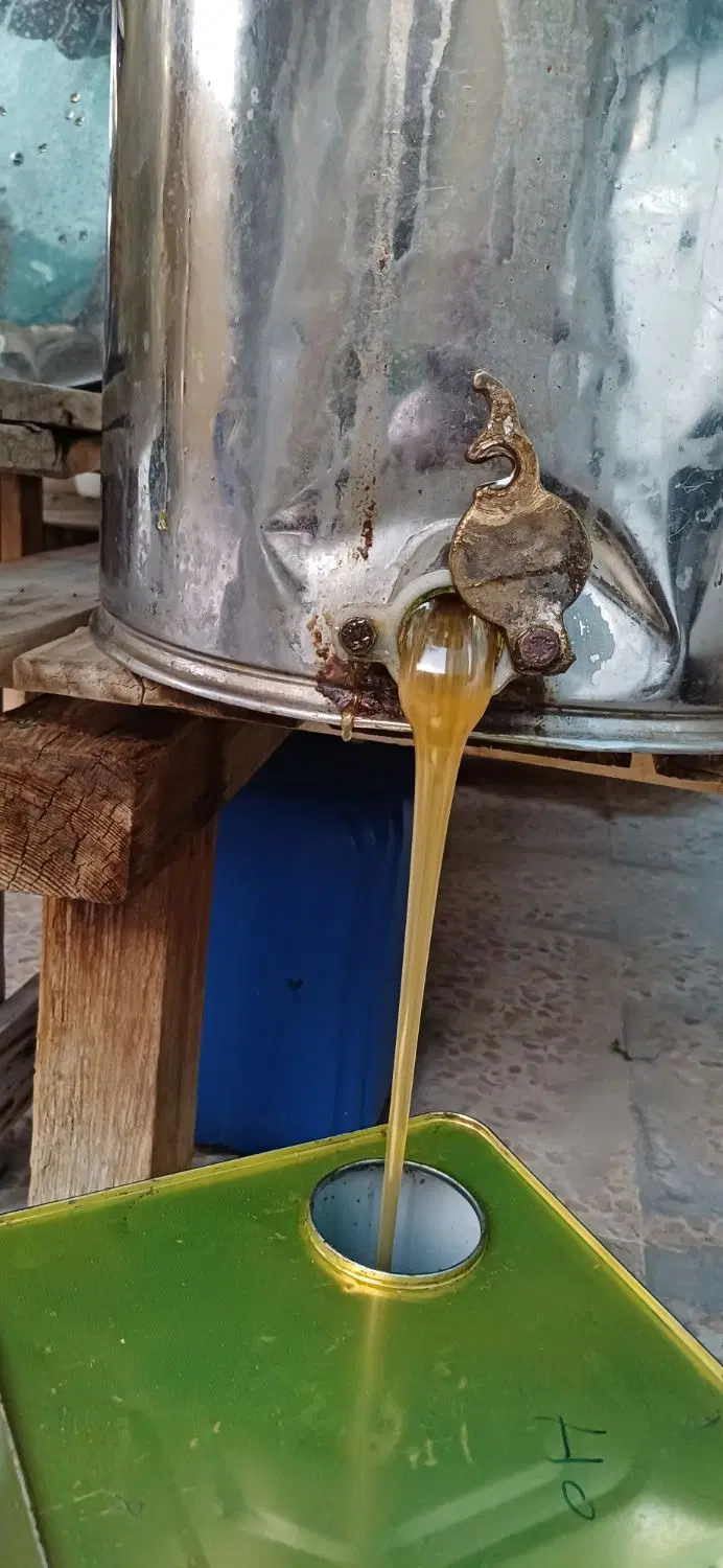 عسل|خوردنی و آشامیدنی|دوگنبدان, |دیوار