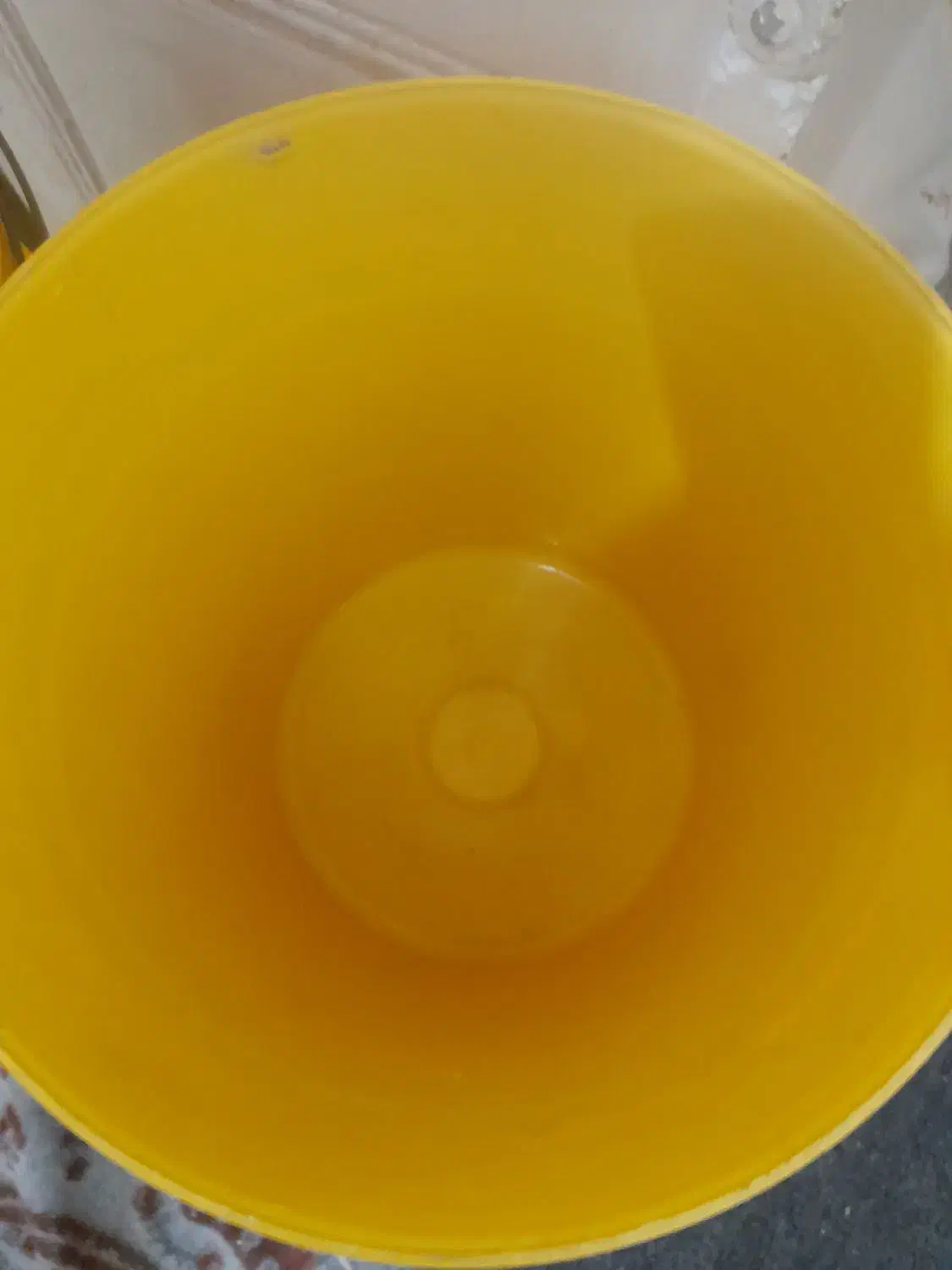 سطل|ظروف نگهدارنده، پلاستیکی، یکبارمصرف|یزد, |دیوار