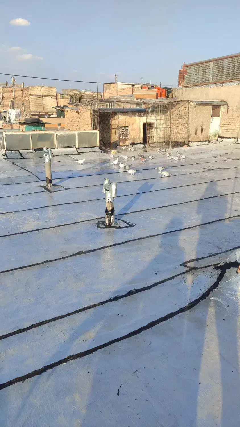 ایزوگام و قیرگونی محمد|خدمات پیشه و مهارت|بیرجند, |دیوار