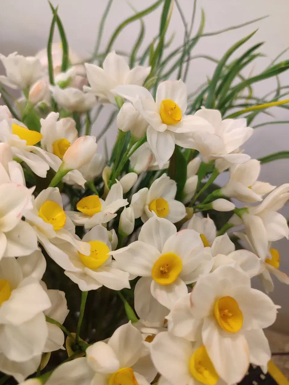 گل نرگس|گل مصنوعی|تهران, اوقاف|دیوار