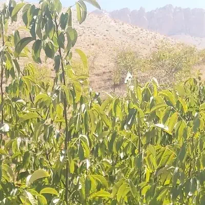 راهنمایی بیکاری و فراغت|فعالیت داوطلبانه|اهواز, پادادشهر|دیوار