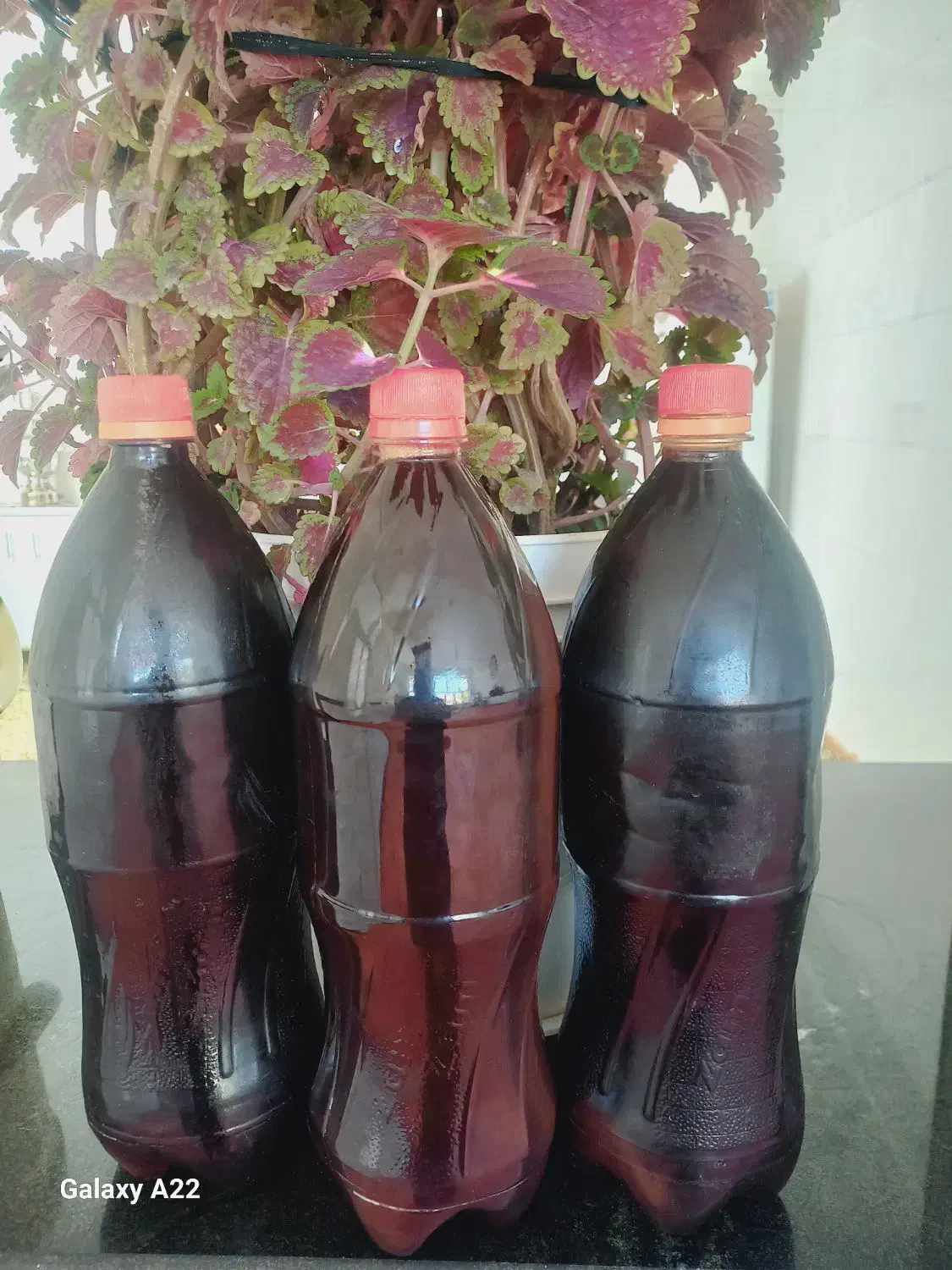 شیره برو یا شه وه که درجه یک|خوردنی و آشامیدنی|جوانرود, |دیوار