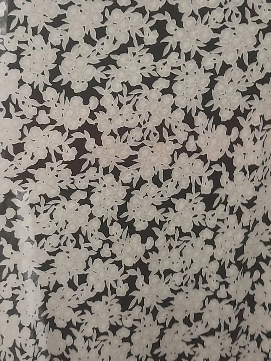 چادر جنس وال در حد نو|لباس|سنندج, |دیوار