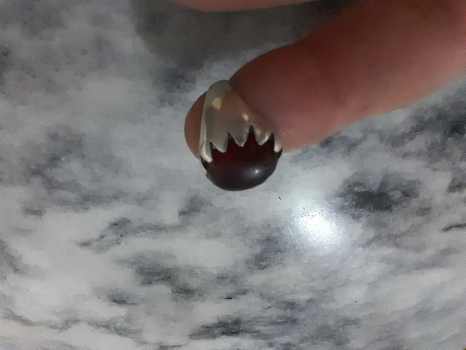 انگشتر|جواهرات|مشهد, نیزه|دیوار