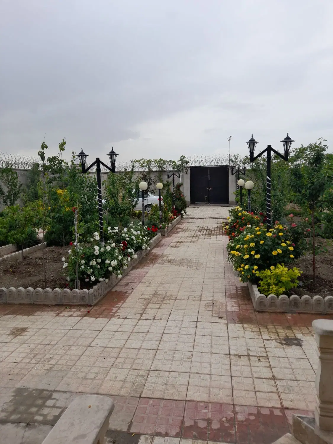 تصویر 9