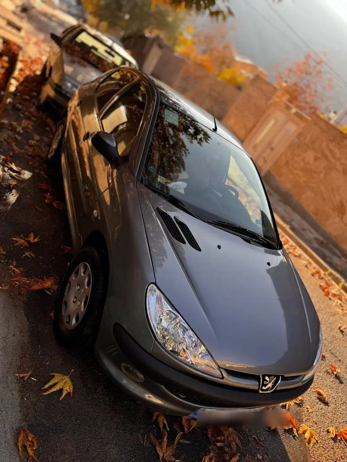 پژو۲۰۶|خودرو سواری و وانت|ماکو, |دیوار