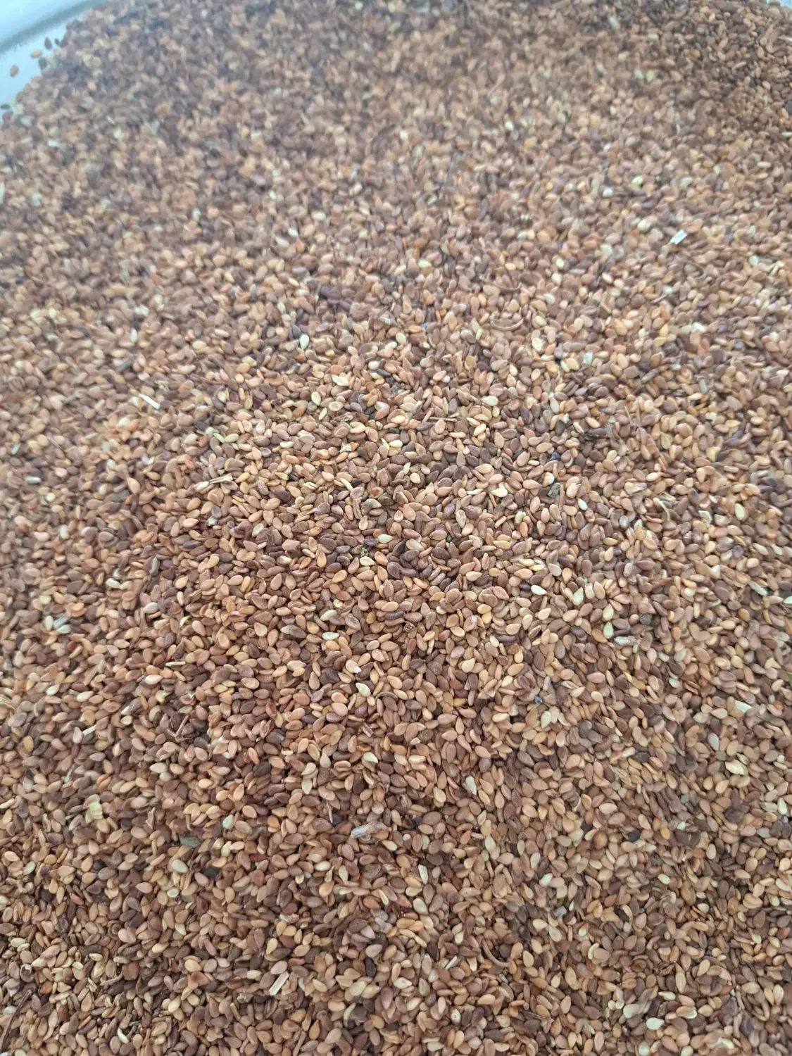 فروش کنجد|خوردنی و آشامیدنی|یاسوج, |دیوار