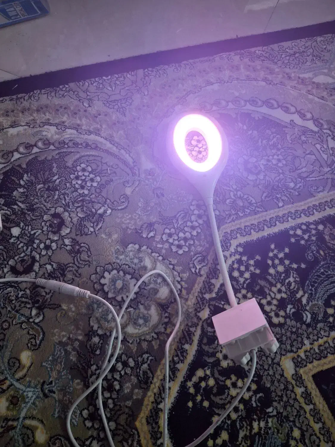 نور اکواریوم و پمپ هوا و تصفیه و فیلتر|لوازم جانبی حیوانات|مشهد, گلبرگ|دیوار