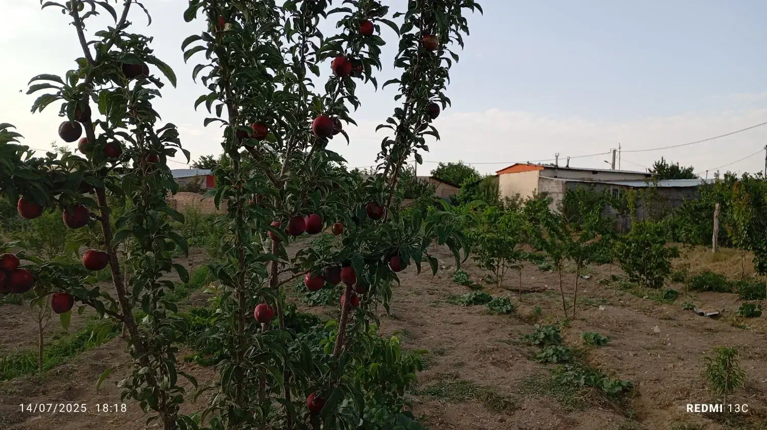 باغ اماده با مکان ویژه|فروش خانه و ویلا|فرمهین, |دیوار