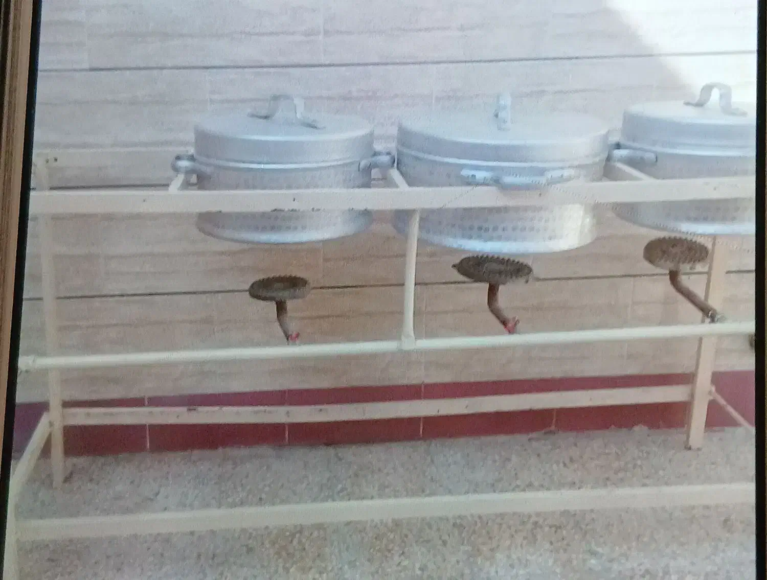 گاز ۳شعله بدون دیگ قیمت ۱۹۵۰ میلیون تومان|اجاق گاز و لوازم برقی پختوپز|بهبهان, |دیوار