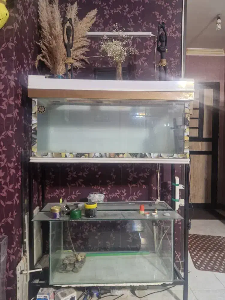 آکواریوم بزرگ|ماهی|صدرا-فارس, فاز ۱|دیوار