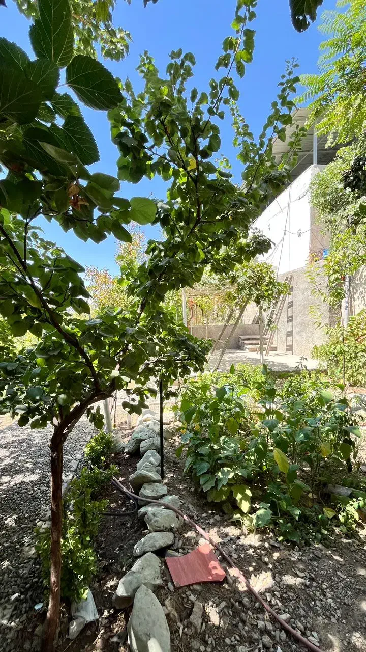 285 متر زمین مسکونی دارای جواز ساخت|فروش زمین و ملک کلنگی|سلمان‌شهر, |دیوار