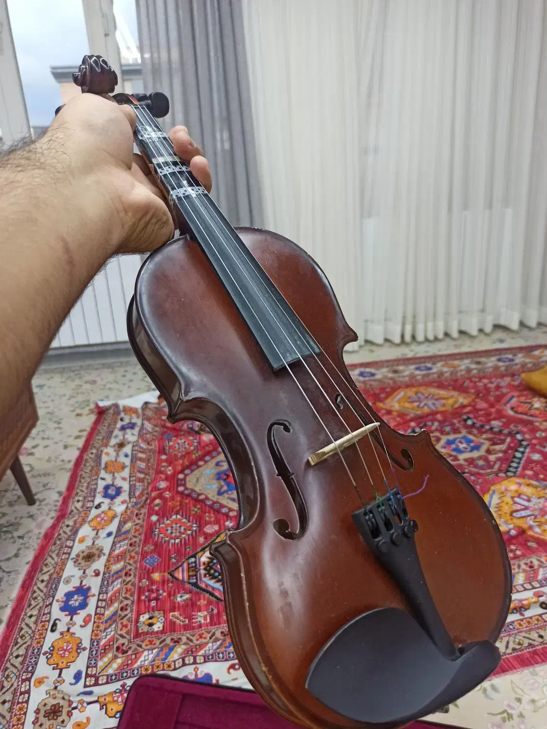 ویولون سایز ۲/۴|ویولن|مریوان, |دیوار