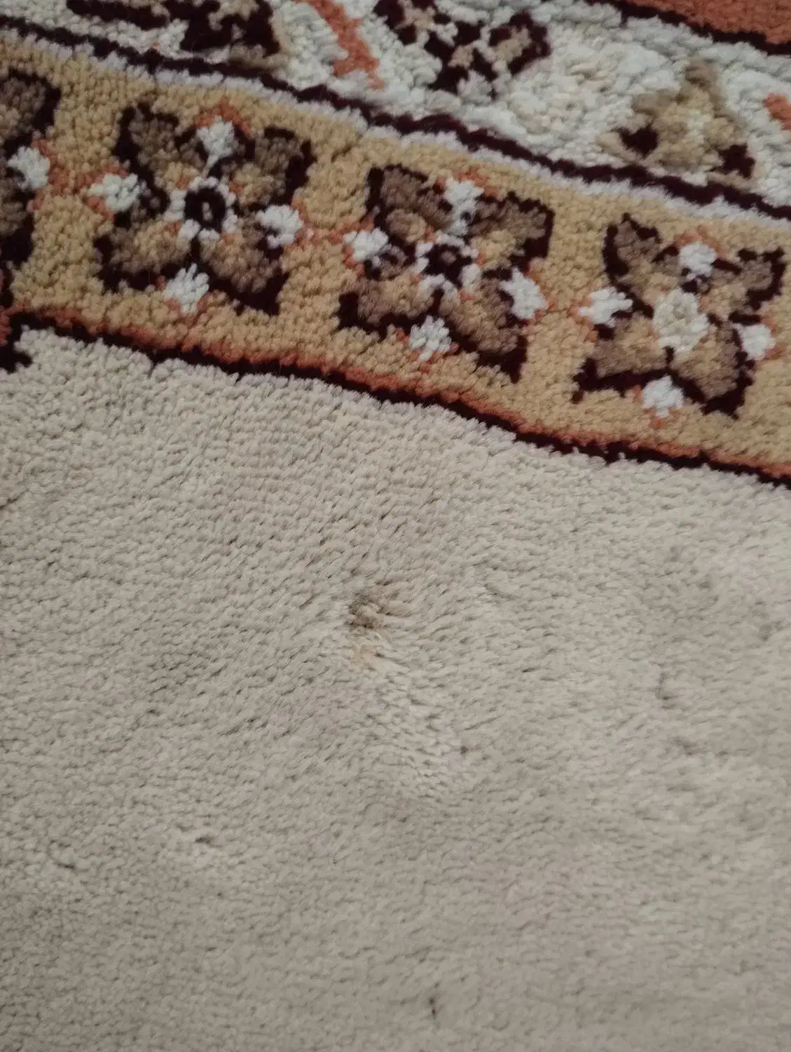 فرش ۱۲متری|فرش|رودسر, |دیوار