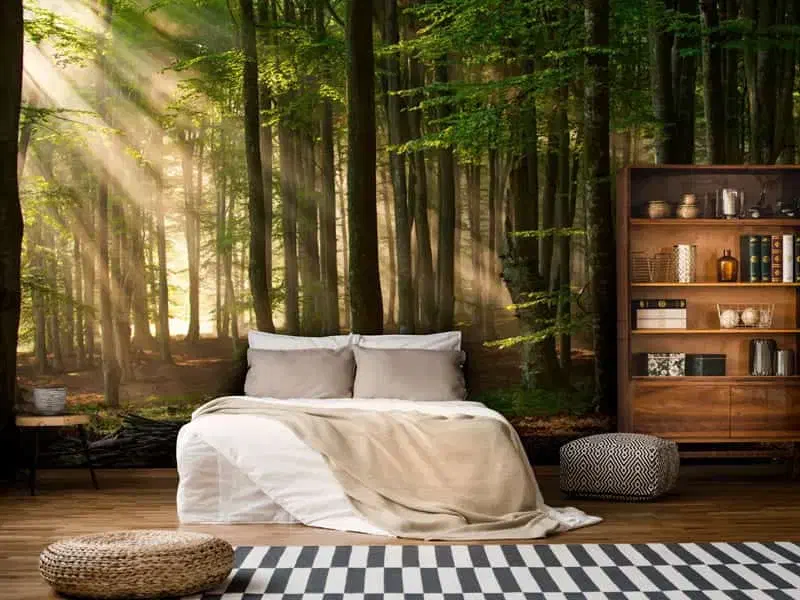 نقاش ساختمان نصاب کاغذ دیواری پوستر و کابینت|خدمات پیشه و مهارت|کازرون, |دیوار