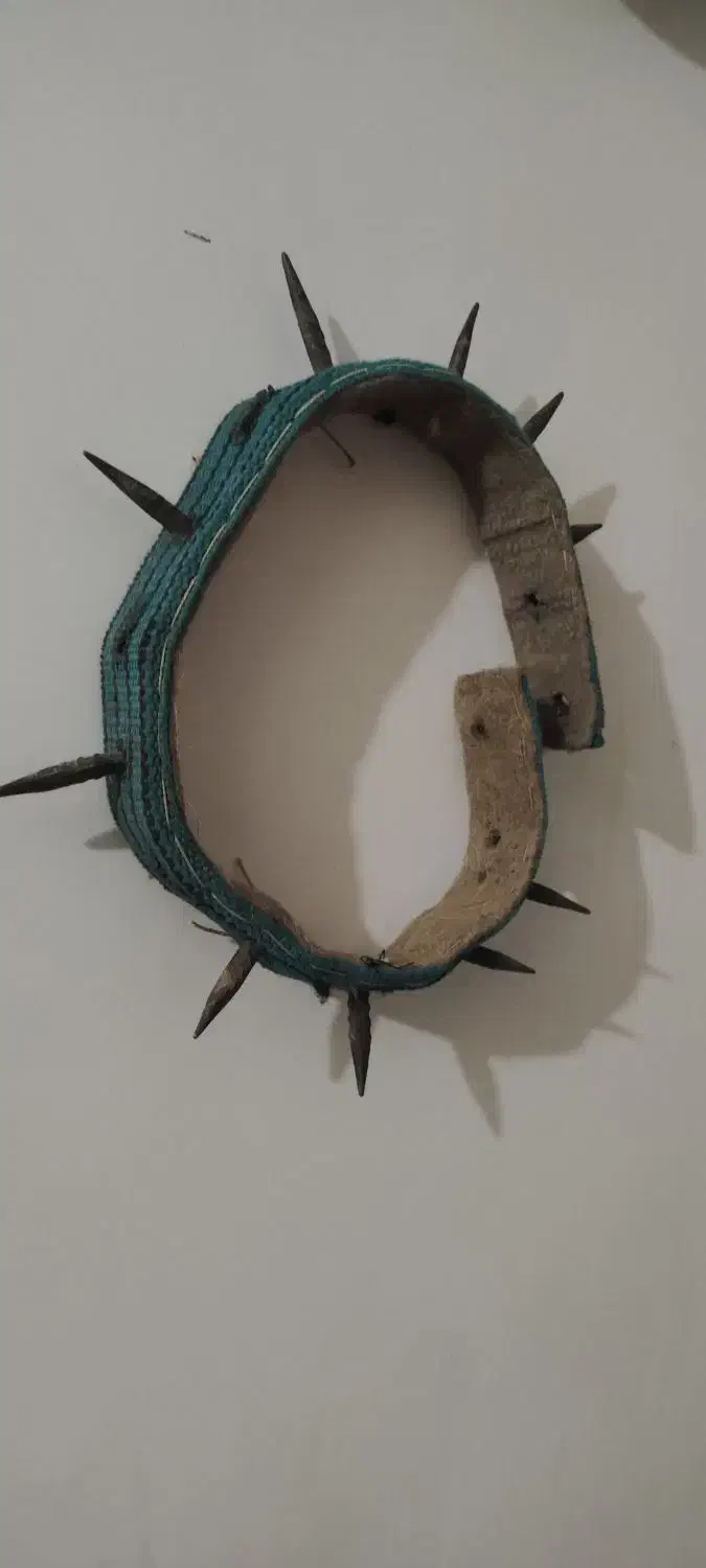 قلاده سگ|لوازم جانبی حیوانات|نیشابور, شهید بهشتی|دیوار