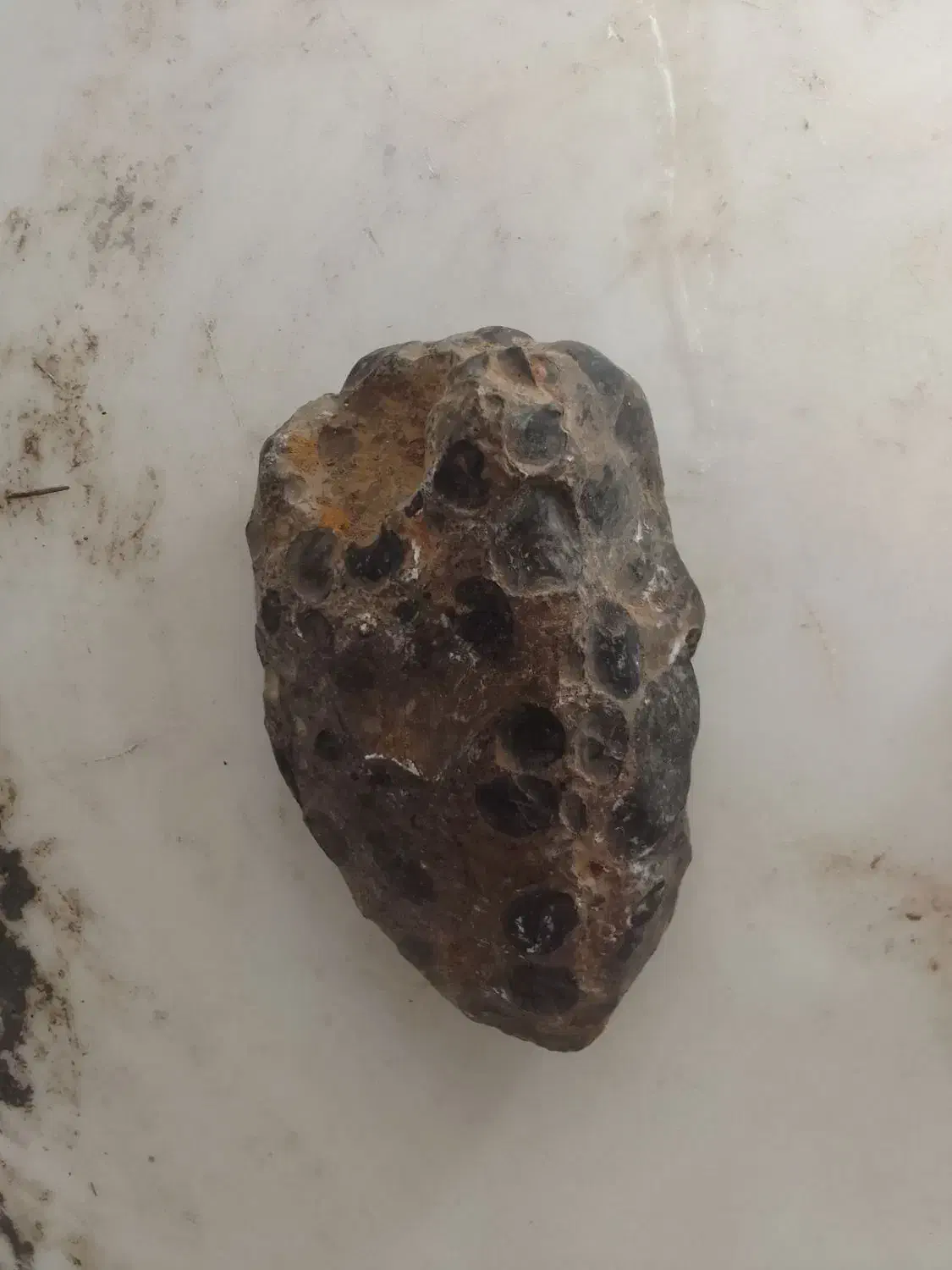 شهاب سنگ|کلکسیون اشیاء عتیقه|سمنان, |دیوار