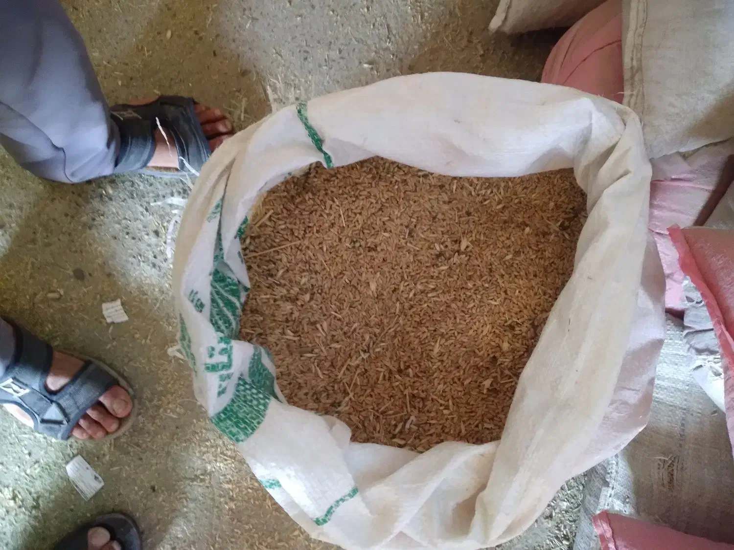 جو گندم. خوراک یونجه|خدمات باغبانی و درختکاری|رضویه, |دیوار