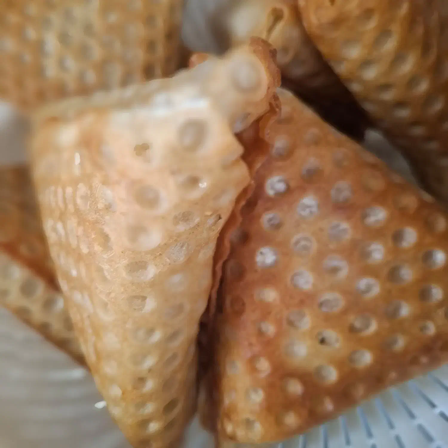 قابل توجه فست فودی ها وکافه داران محترم|خدمات پذیرایی، مراسم|کاشان, ملک آباد|دیوار