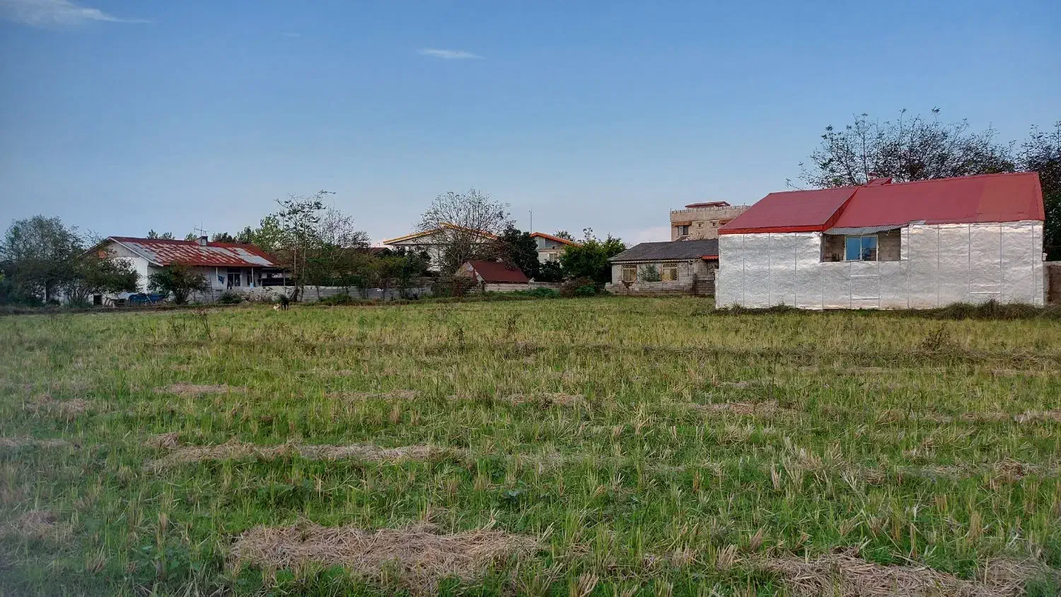 فروش زمین مسکونی|فروش زمین و ملک کلنگی|رضوانشهر, |دیوار