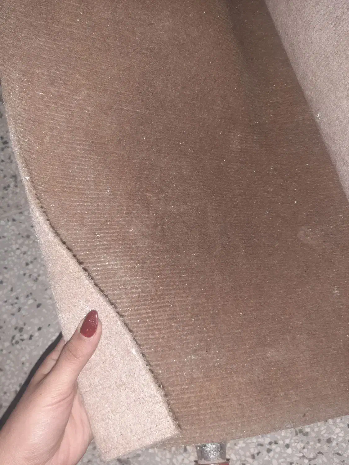 موکت|موکت|نیشابور, مازول|دیوار