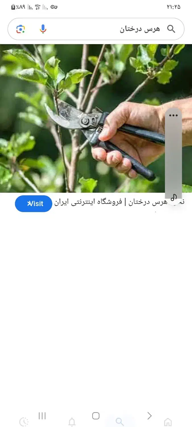 هرس وسرشاخ نمودن درختان|خدمات باغبانی و درختکاری|گلپایگان, |دیوار