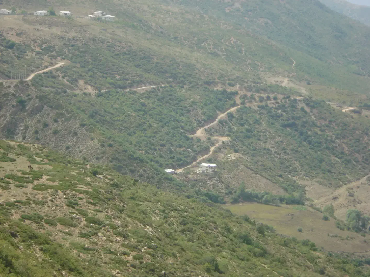 فروش برنج دونوج|خوردنی و آشامیدنی|آمل, |دیوار