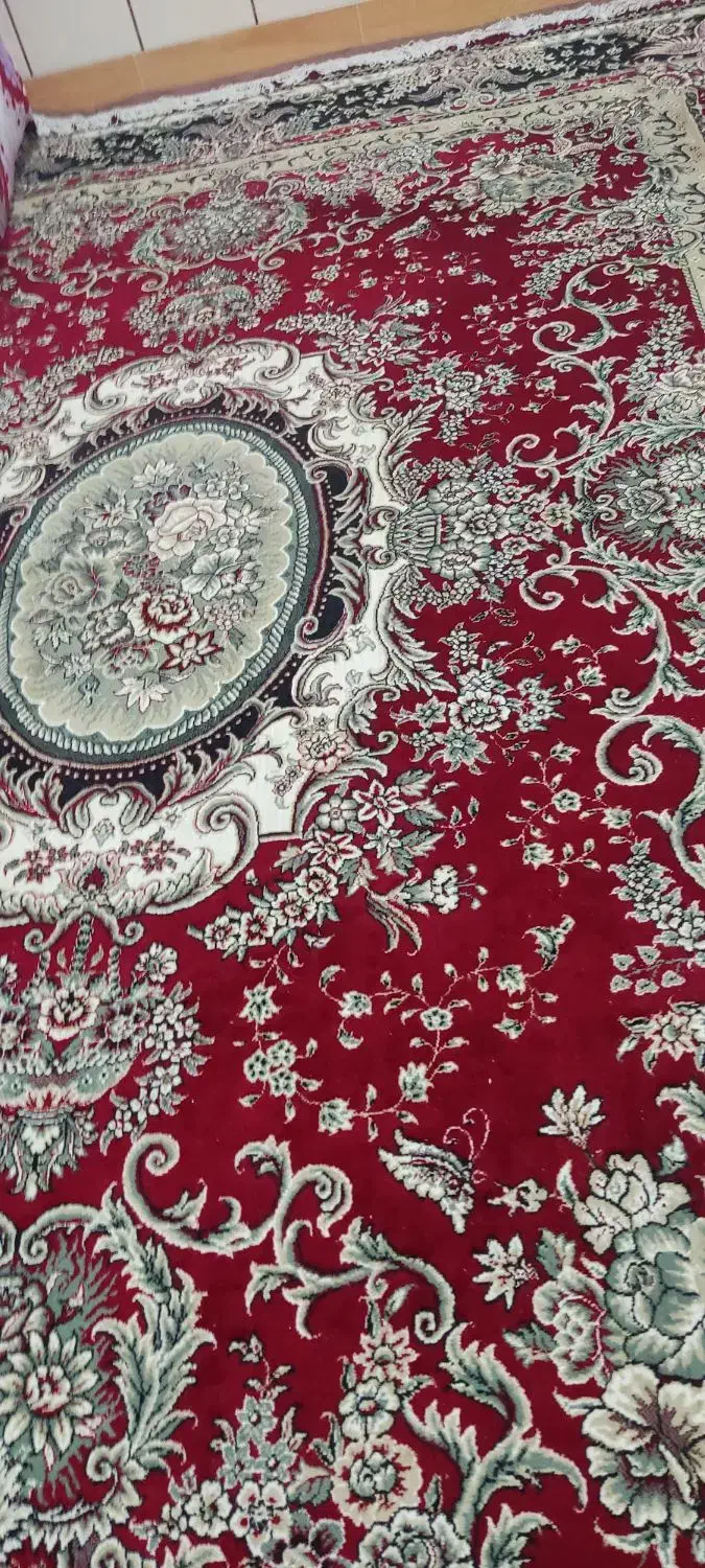 فرش|فرش|مراغه, |دیوار